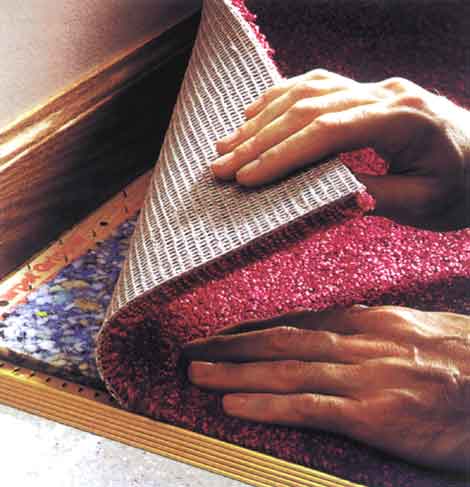 Fixation of carpet with fruits