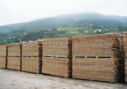Ατμοσφαιρική ξήρανσης ξύλου