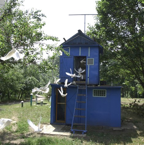 pigeon-House-Loft