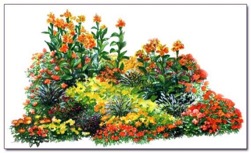 orange-Blumenbeet-Zeichnung.Max