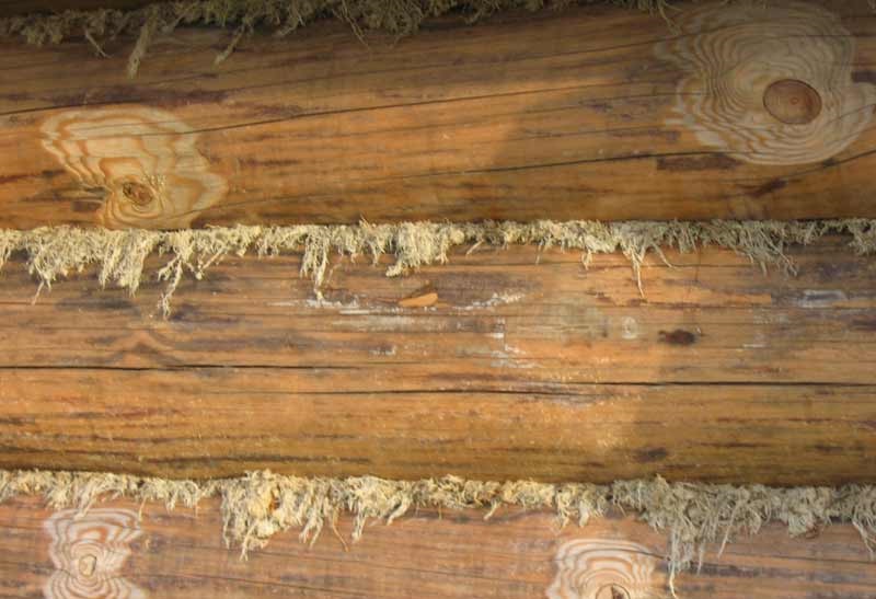Конопатка швов сруба деревянного дома своими руками.  конопатить швы .
